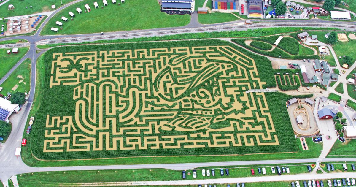Cherry Crest Adventure Farm competing for best corn maze in USA Today's readers' choice awards