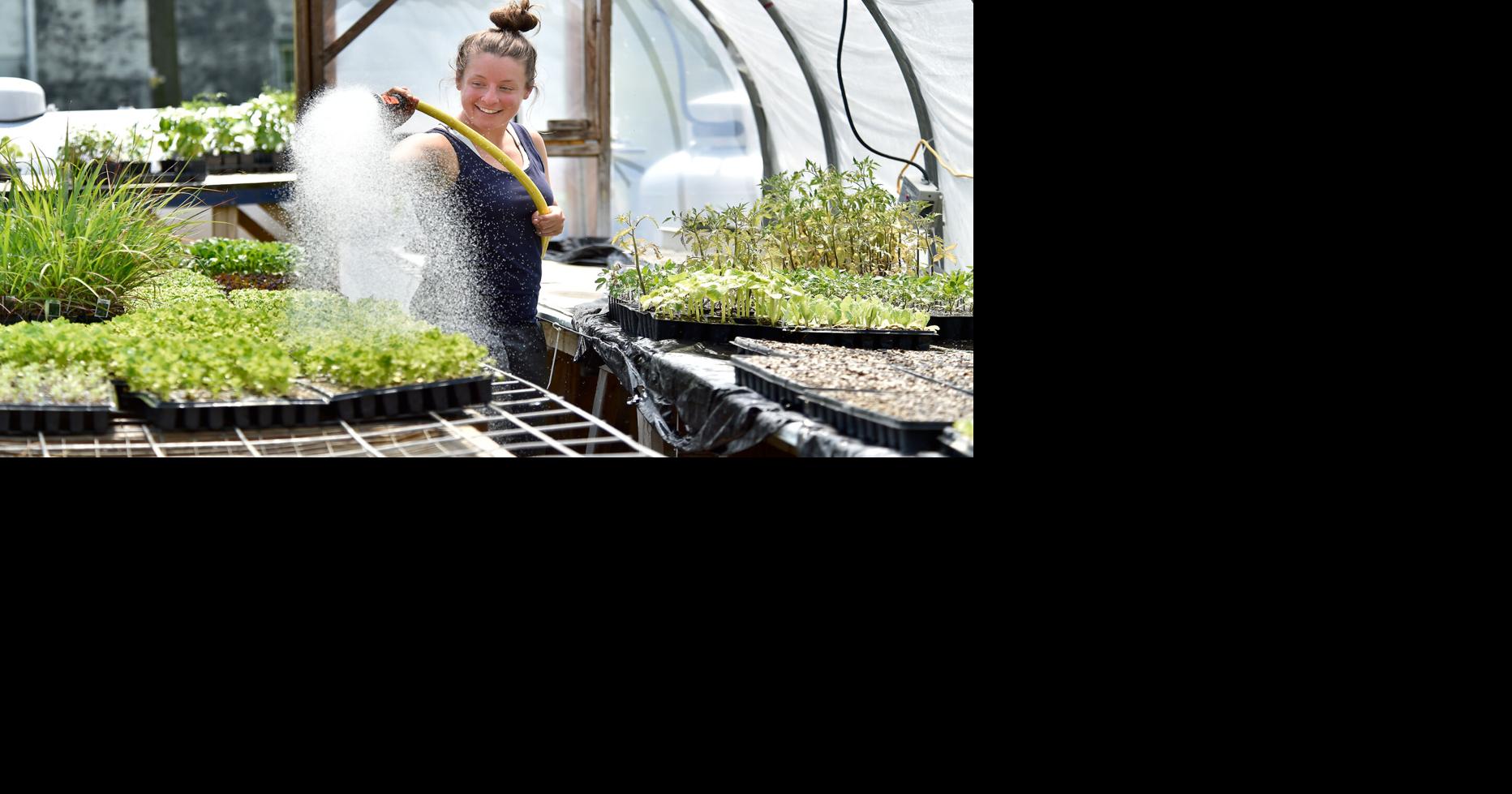 High price of Lancaster County's agricultural land shapes how farmers