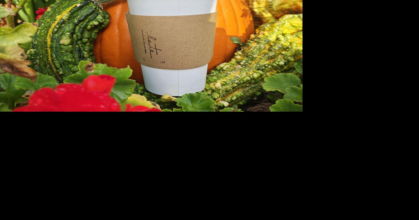 These 10 fall drinks from Lancaster County cafes are perfect for those tired of pumpkin spice Oct 8, 2026