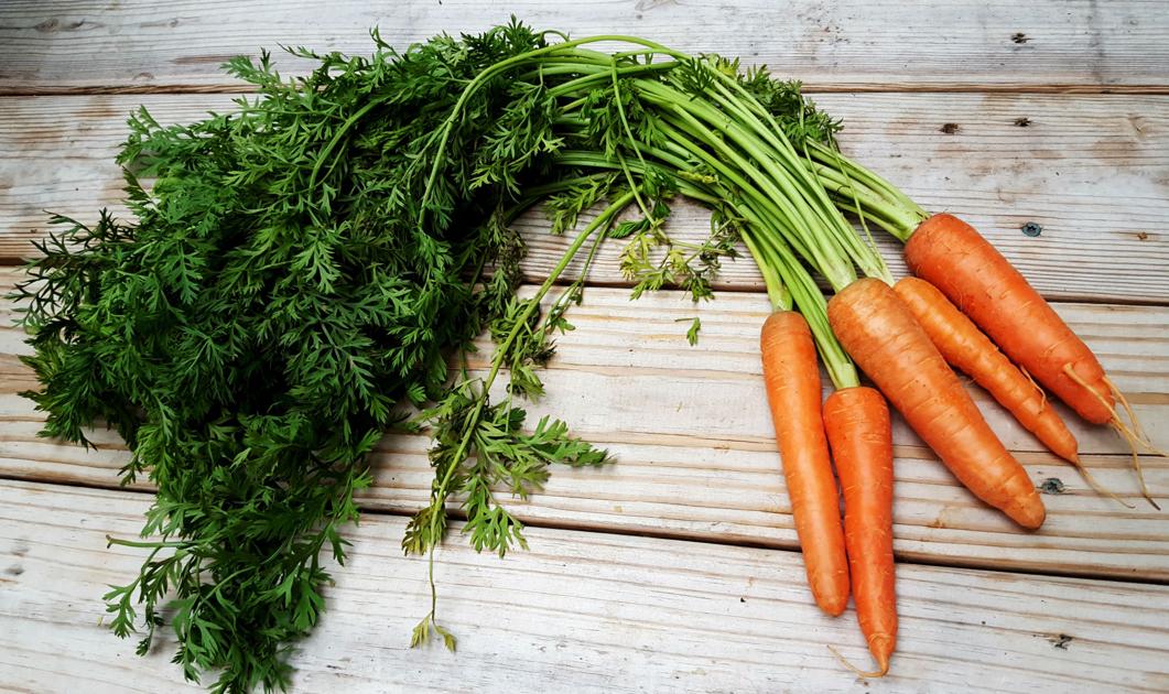 Benefits of orange fruits and vegetables | Food + Living ...