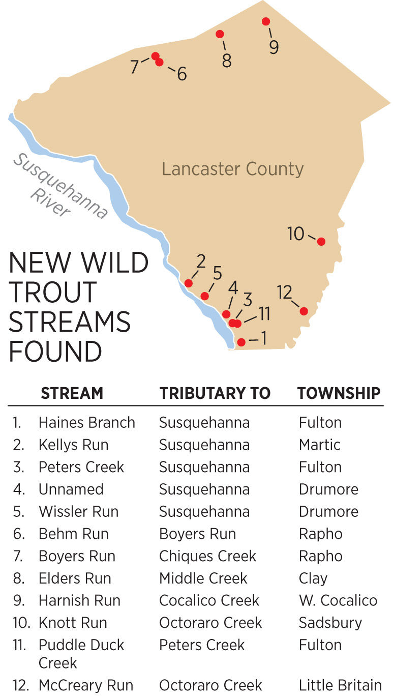 Surprise 12 new streams with wild trout discovered in Lancaster County