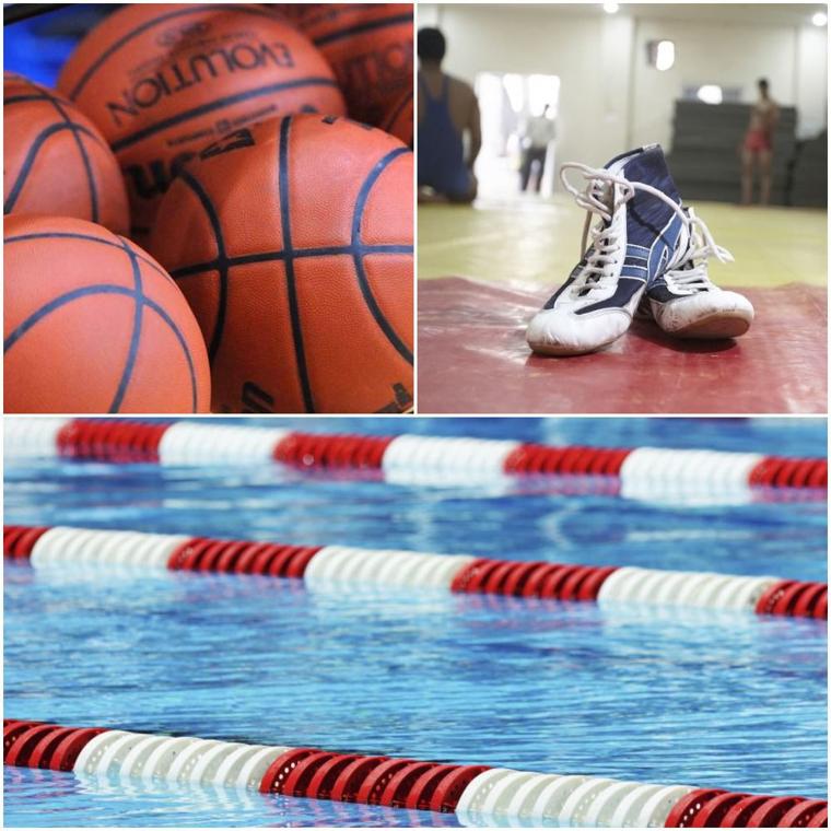 Lnp To Cover District Basketball Title Games Swimming And