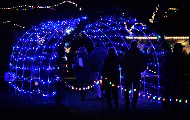 Singer dresses up as Elvis and sings Christmas, gospel songs in Terre