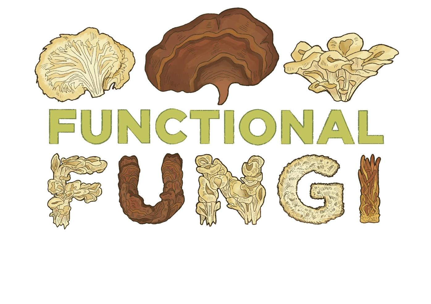 Functional fungi: Get to the root of the latest wellness craze and learn  how mushrooms can help your health | Food | lancasteronline.com