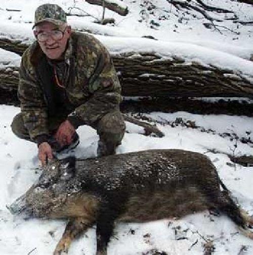 Feral Pigs Are Going Hog Wild In Pennsylvania Outdoors Lancasteronline Com