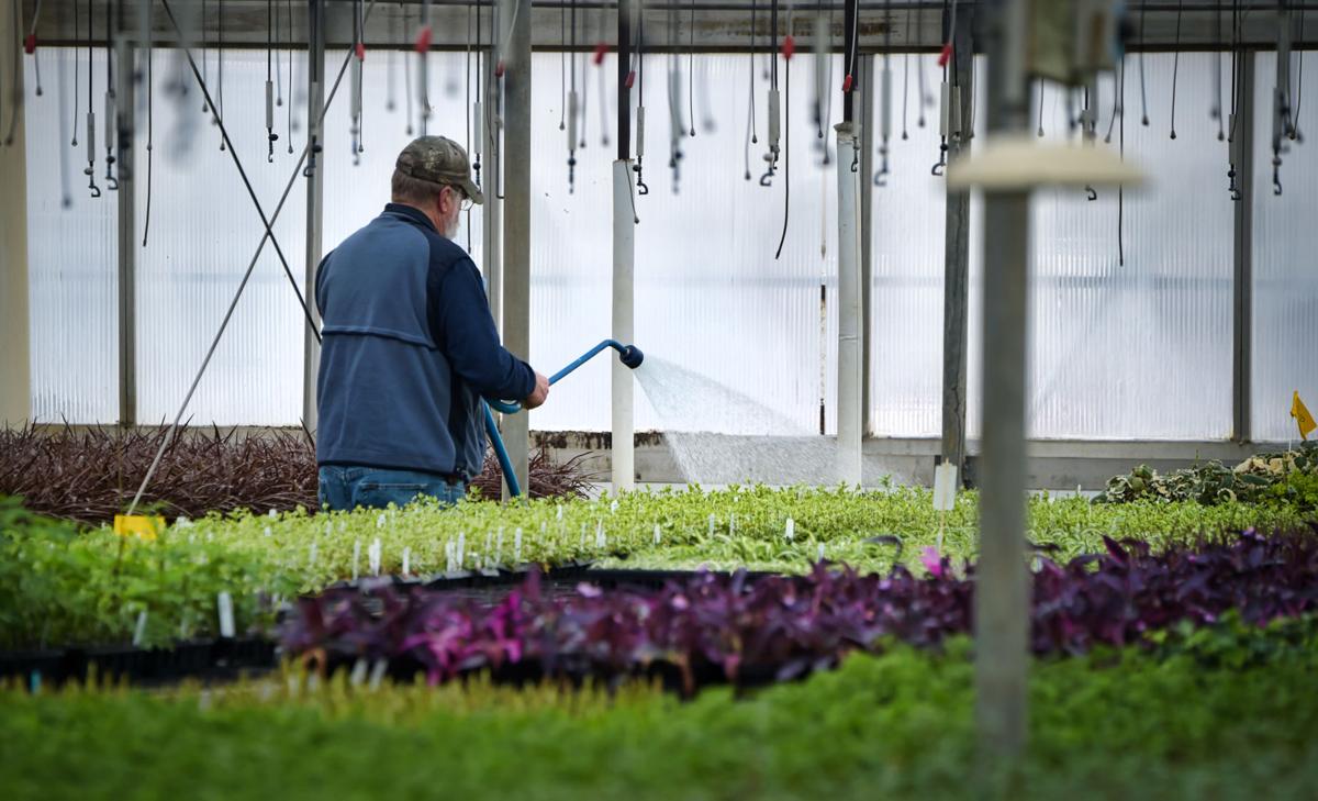 Peek inside the biggest greenhouses of Lancaster County, starting with