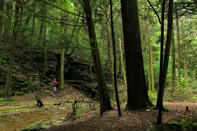 10 Great Places To Go Hiking In Lancaster County Local News