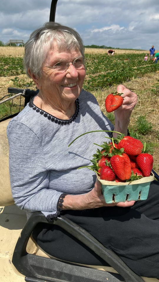 Here's where to pick your own strawberries in and near Lancaster County