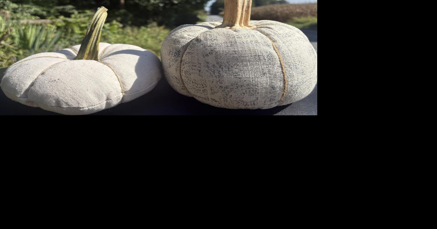 10 easy DIY projects you can make with material from a Lancaster County ...