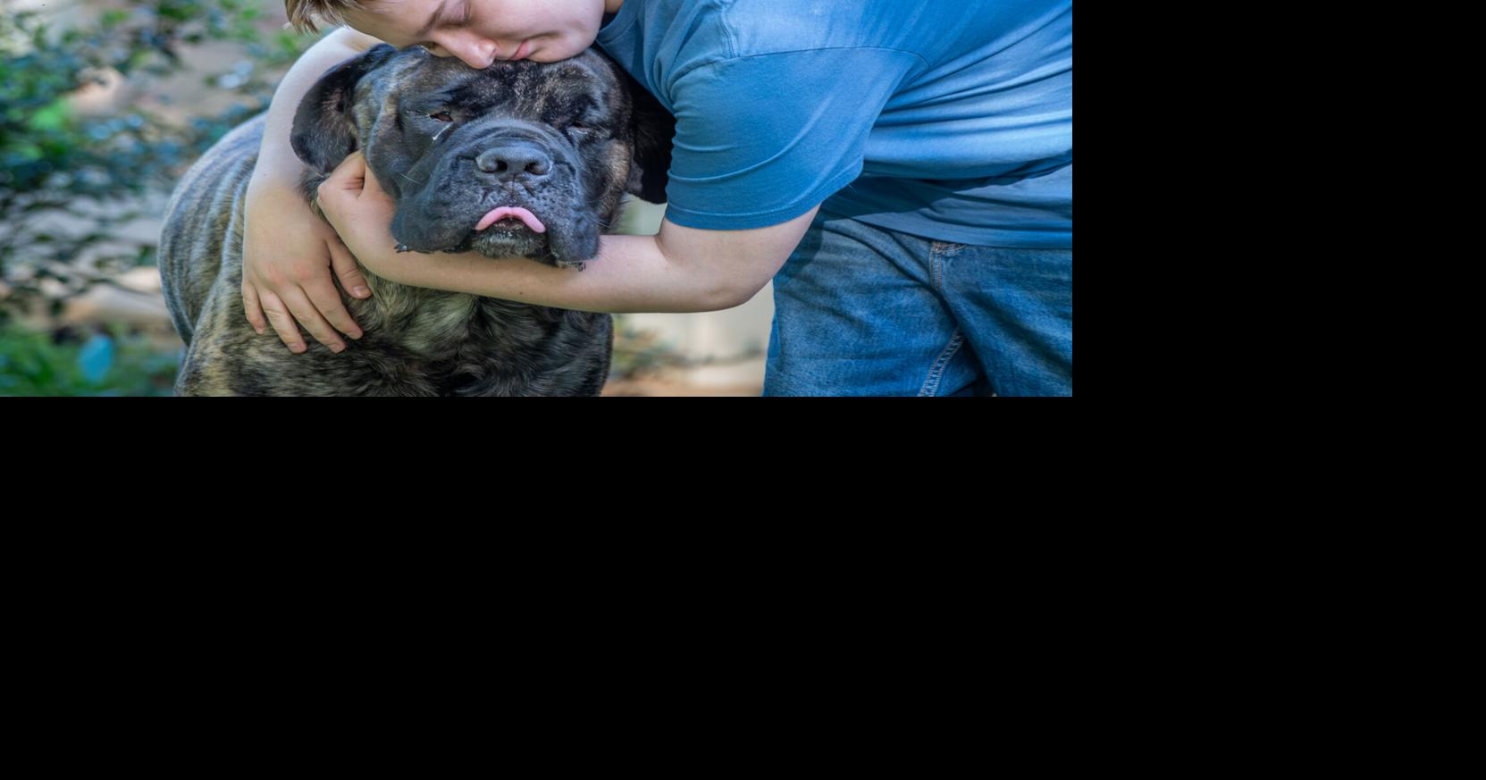 Here's how caring for animals helps a Manheim Township teen cope with pain [video] GAYLE JOHNSON | For LNP and LancasterOnline Jun 19, 2026