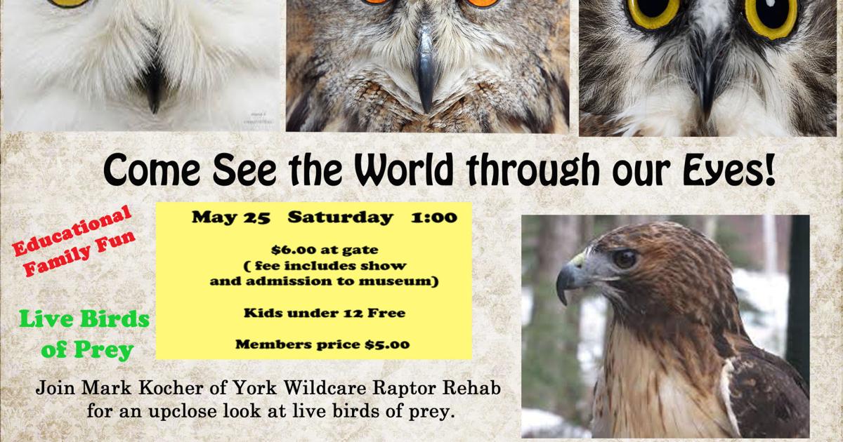Tuscon Raptor Show Raptor Show | | lancasteronline.com