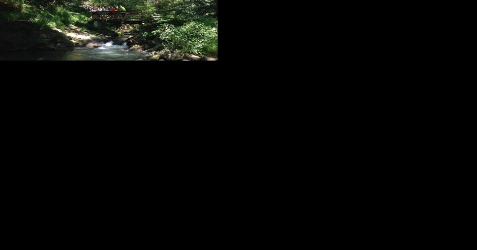 North Museum in line to take over leadership role at Millport Conservancy - Vimarsana News