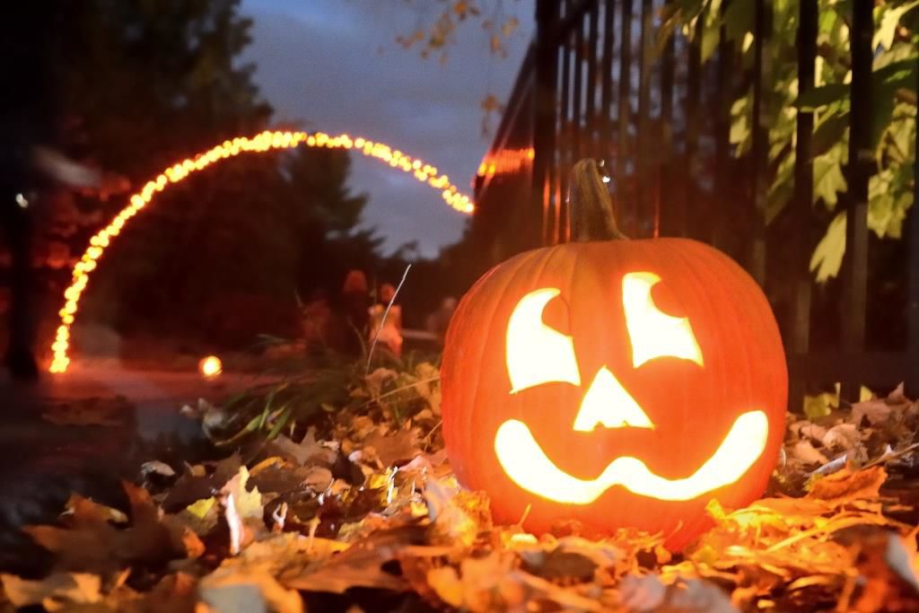 Glowing pumpkins, trickortreating and creepy crawlers at Hershey