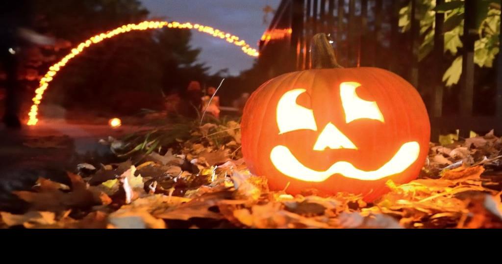 Glowing pumpkins, trickortreating and creepy crawlers at Hershey