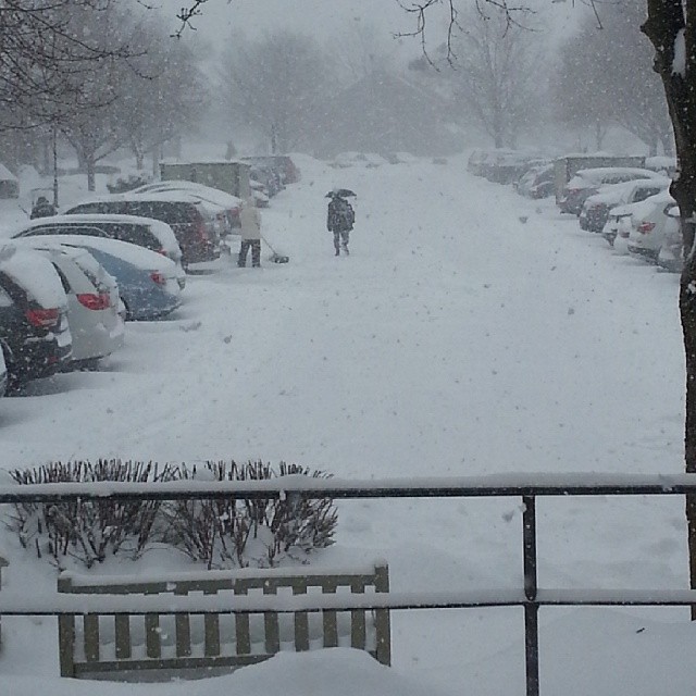 Here are your snow pictures, Lancaster County Local News