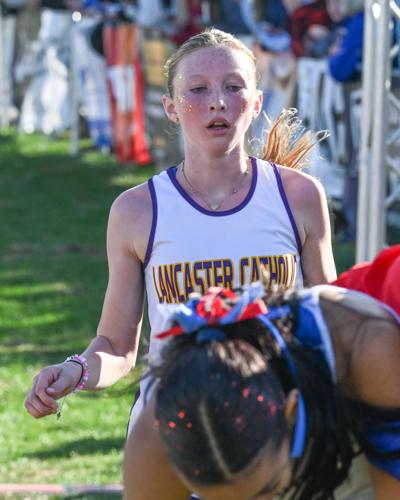 2025 PIAA cross country championships [photos] | High School Cross ...