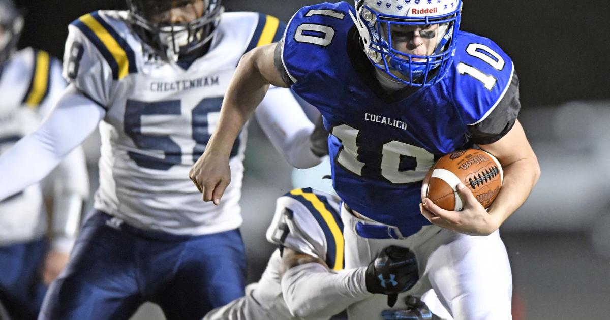 Noah Palm, Nolan Rucci pocket Manheim Touchdown Club's top L-L League ...