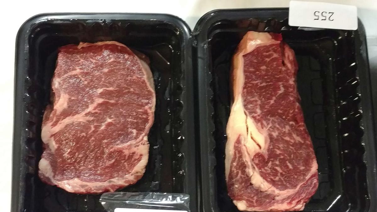 Dairy farming boost? Researchers say Holstein calves can be just as