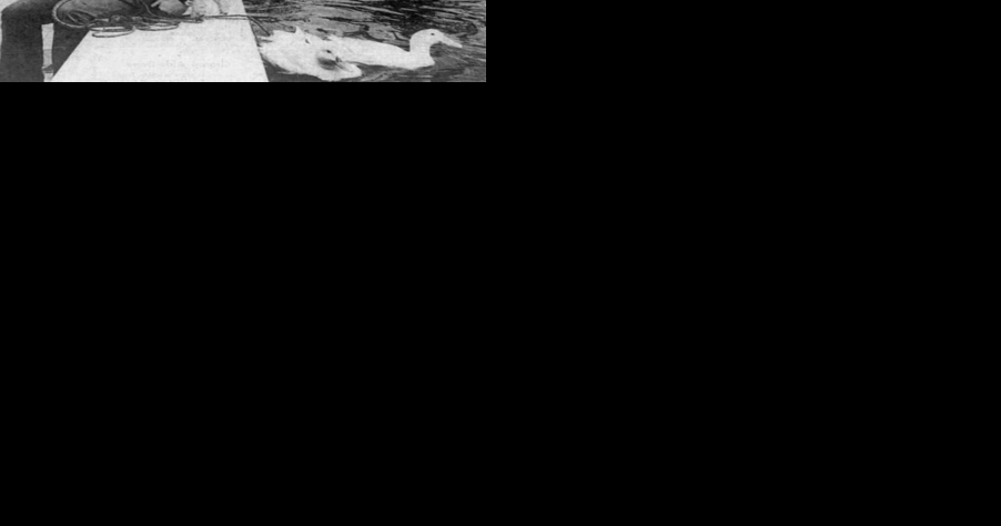 Lancaster man was Broadway animal wrangler in 1972; 'eggless Thursdays' in 1947 [Lancaster That Was] - Vimarsana News