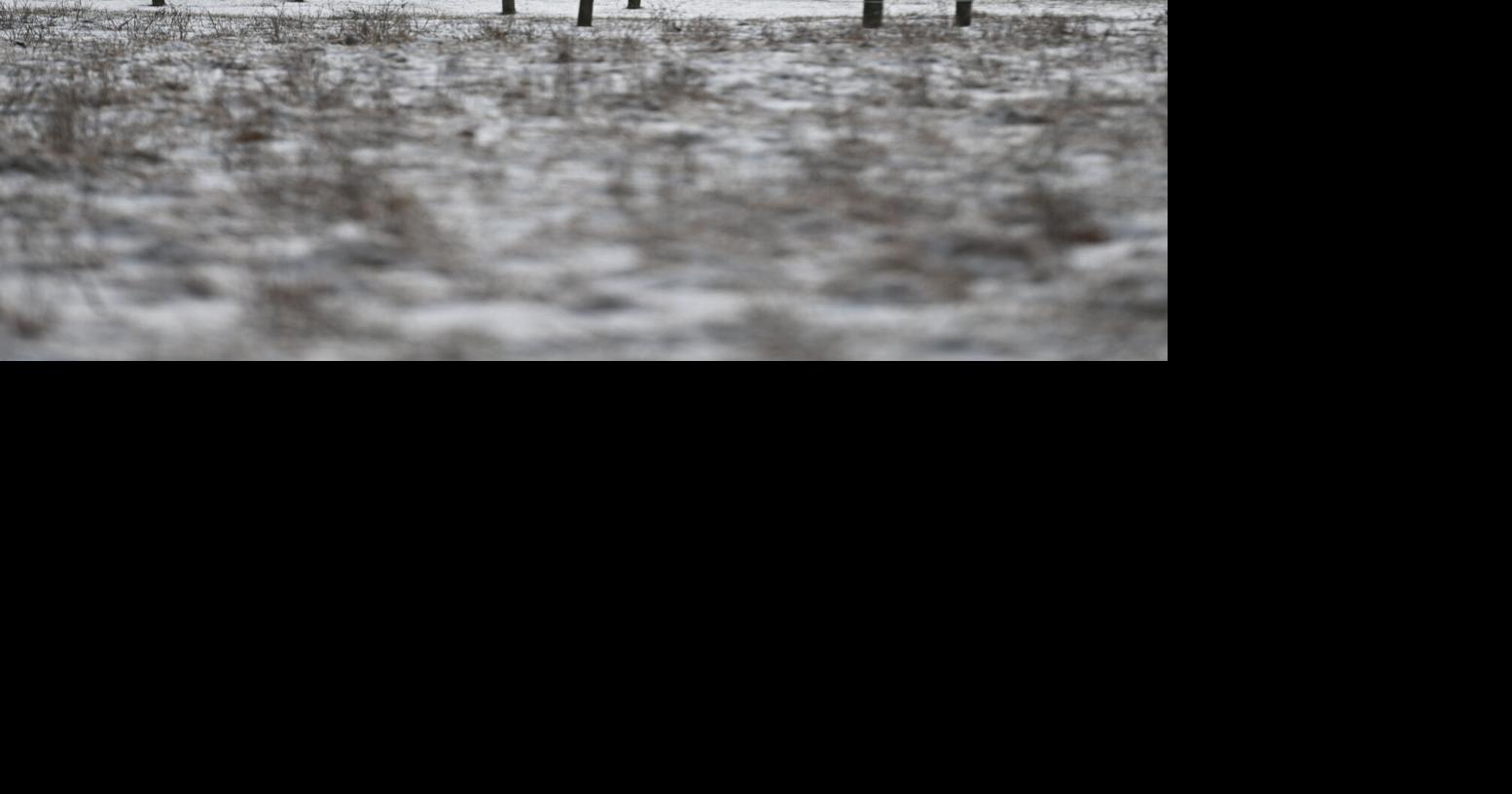 Winter storm blankets Lancaster County with snow Sunday | Local News ...