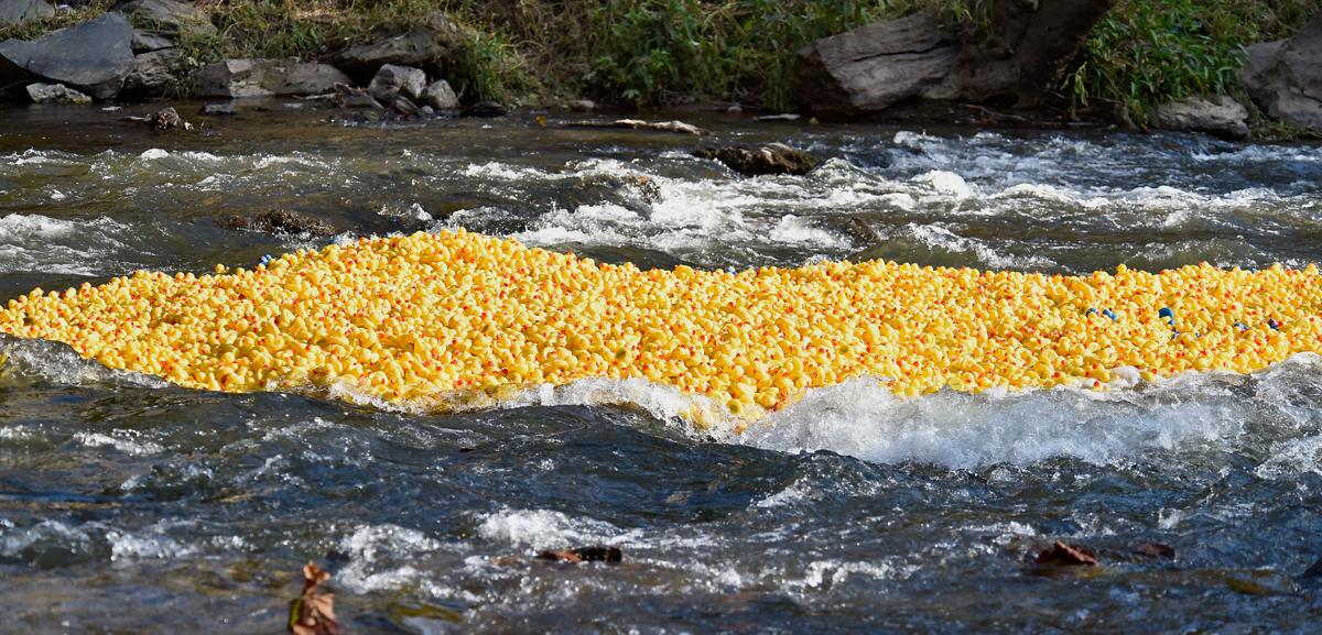 31st annual Schreiber Pediatric Rubber Duckie Race raises money for