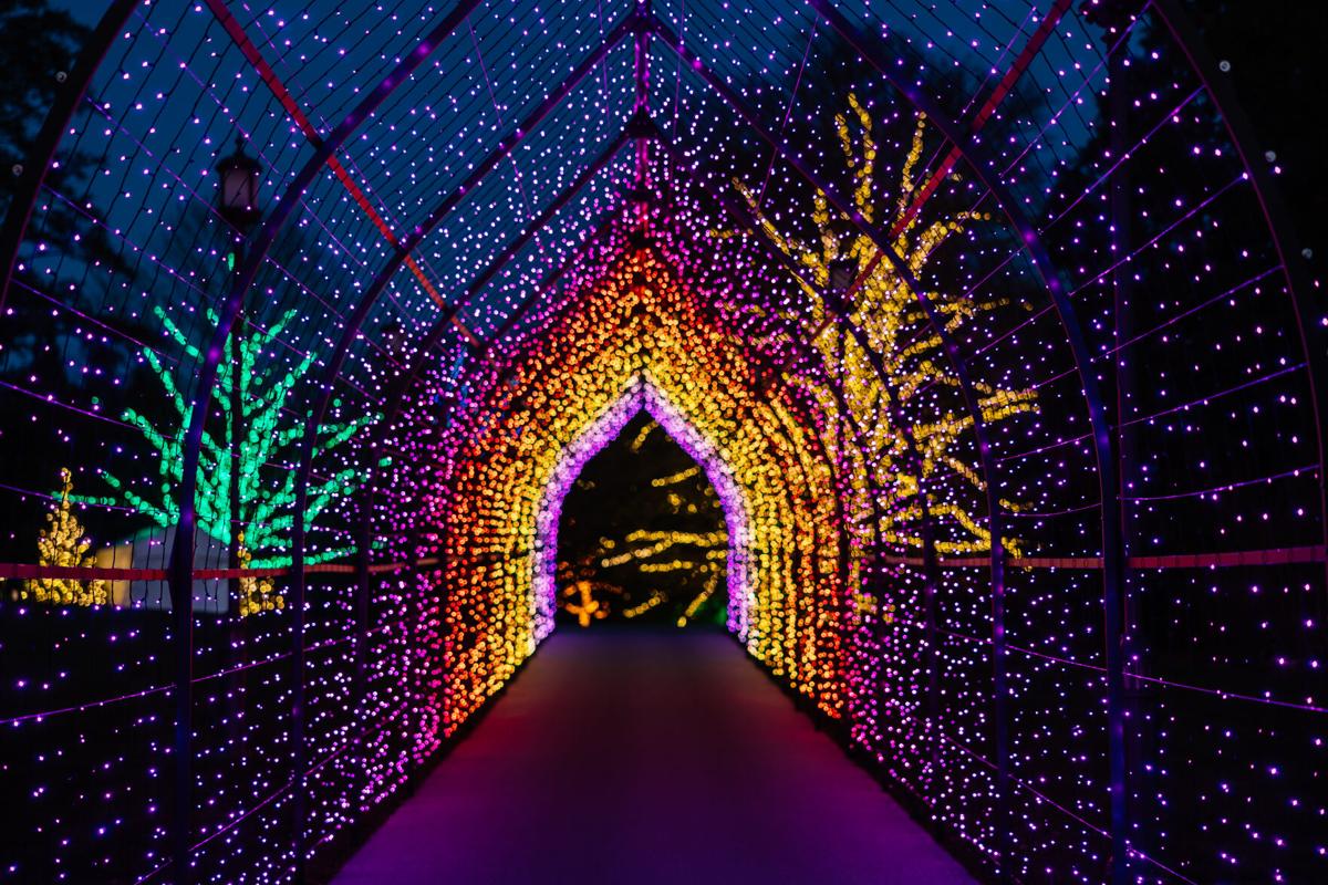 The best botanical garden holiday lights in the country are here in