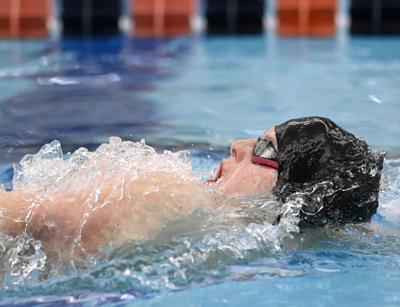 PIAA 2A Swimming and Diving Championships day 2 [photos]