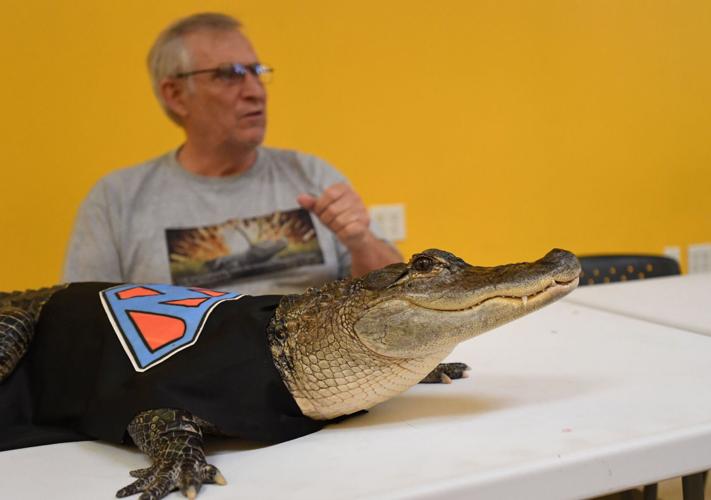 Wally the emotional support alligator shirt Sale