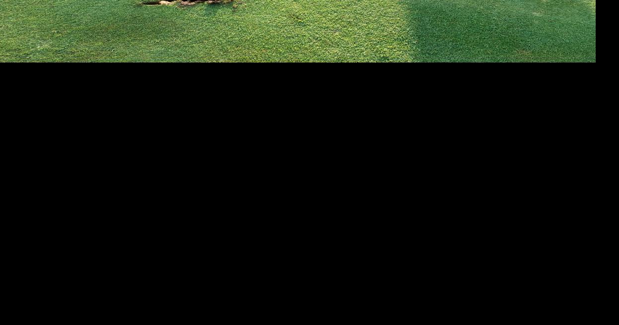 Beloved Evergreen Golf Course to Close After 60 Years