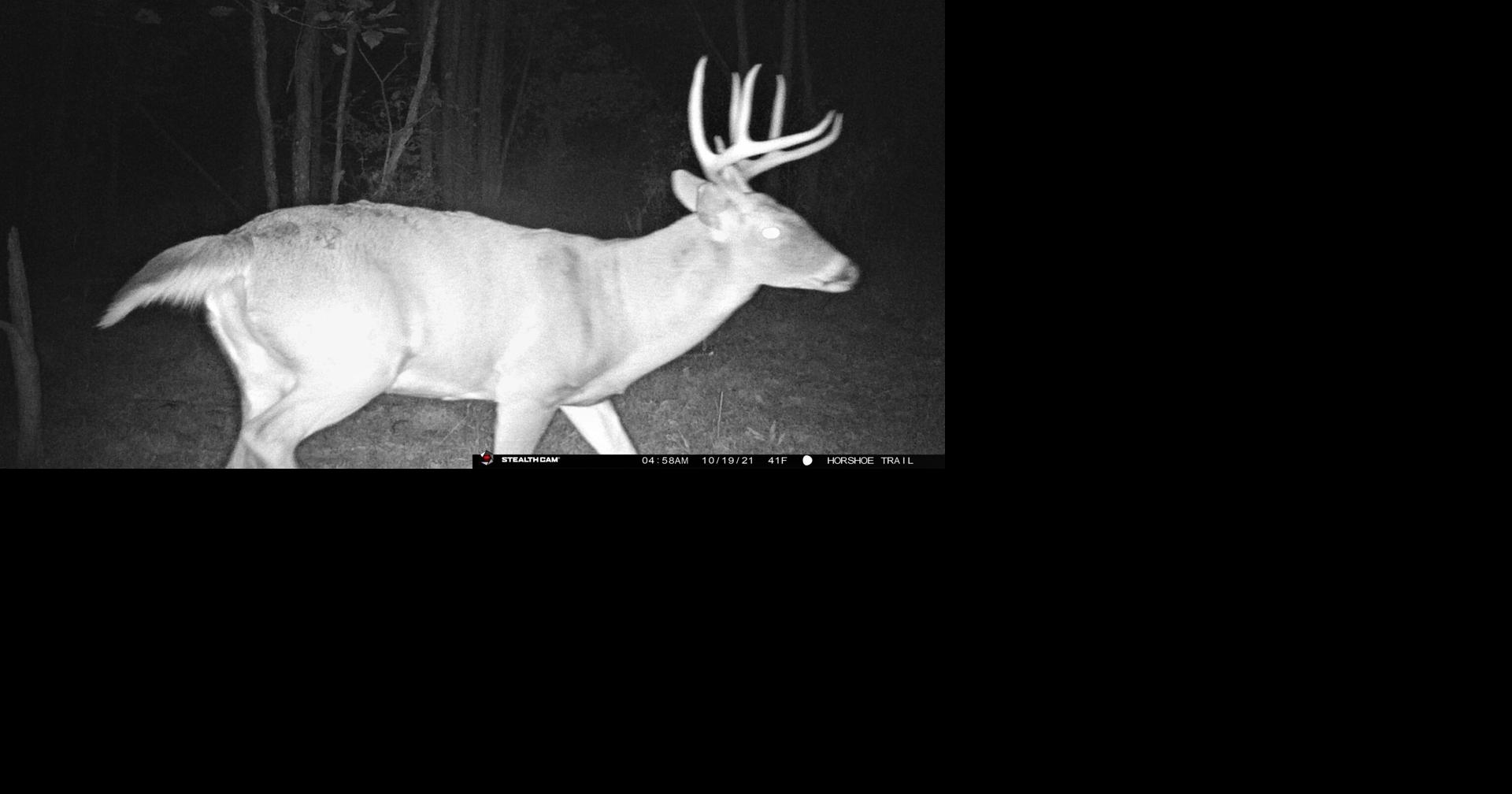 Middle Creek's 2026 fall archery deer hunt is fast approaching [column]