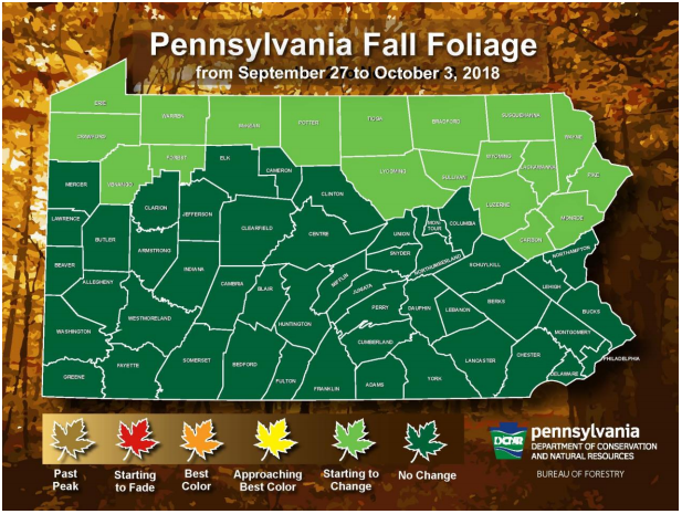 Still Green Pennsylvania Issues First Foliage Report Forestry Expert Warns Colors This Year Could Be Late Muted Local News Lancasteronline Com