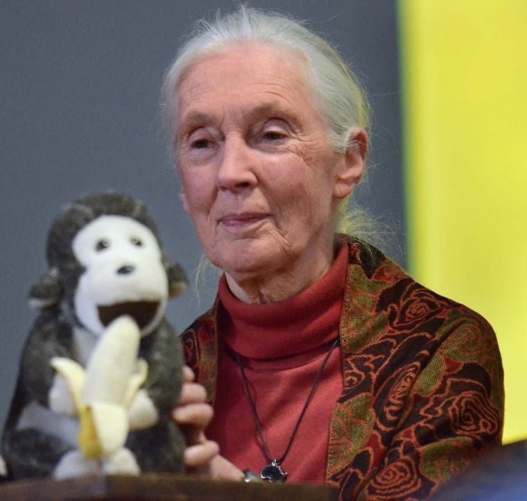 Jane Goodall spreads message of environmental warning and hope before ...