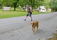 Part of Northwest Lancaster County River Trail could be paved, have gardens after Marietta receives $437K grant
