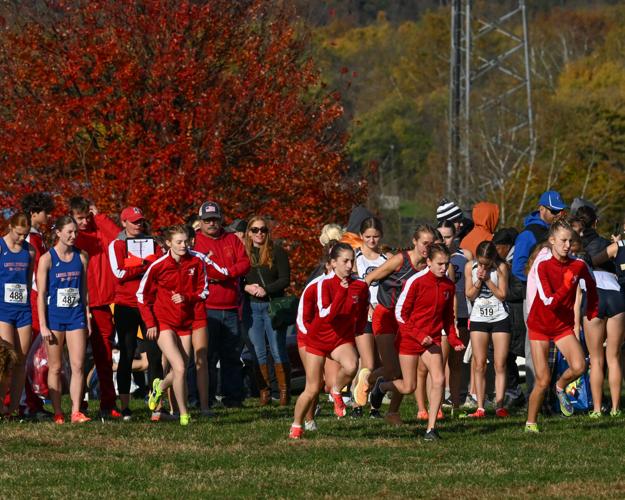 2025 PIAA cross country championships [photos] | High School Cross ...