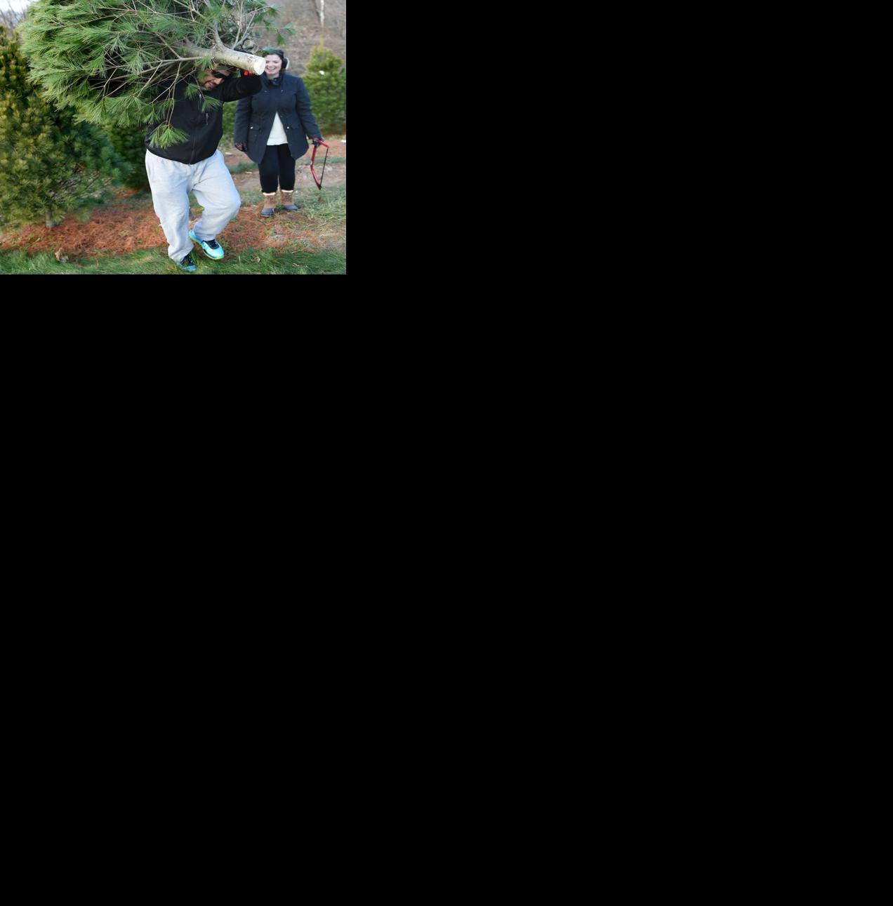 Here's where you can recycle your Christmas tree in Lancaster County ...