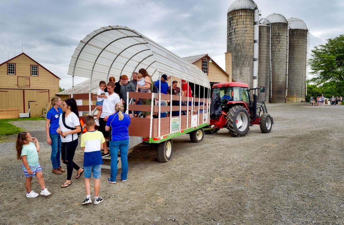 oregon dairy farm tour