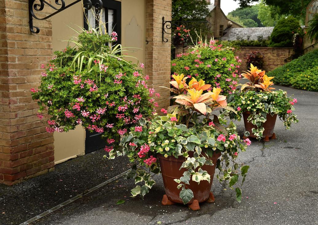 Conestoga House and Gardens is open; here's a virtual tour of the 5,000