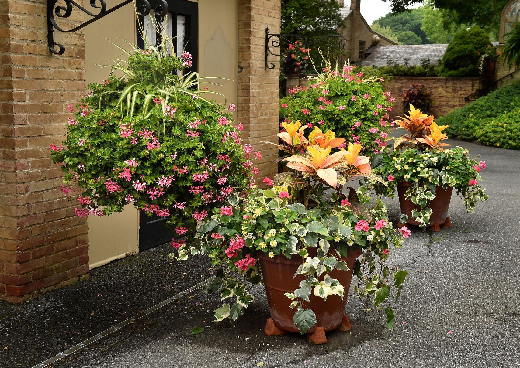 Conestoga House and Gardens is open; here's a virtual tour of the 5,000