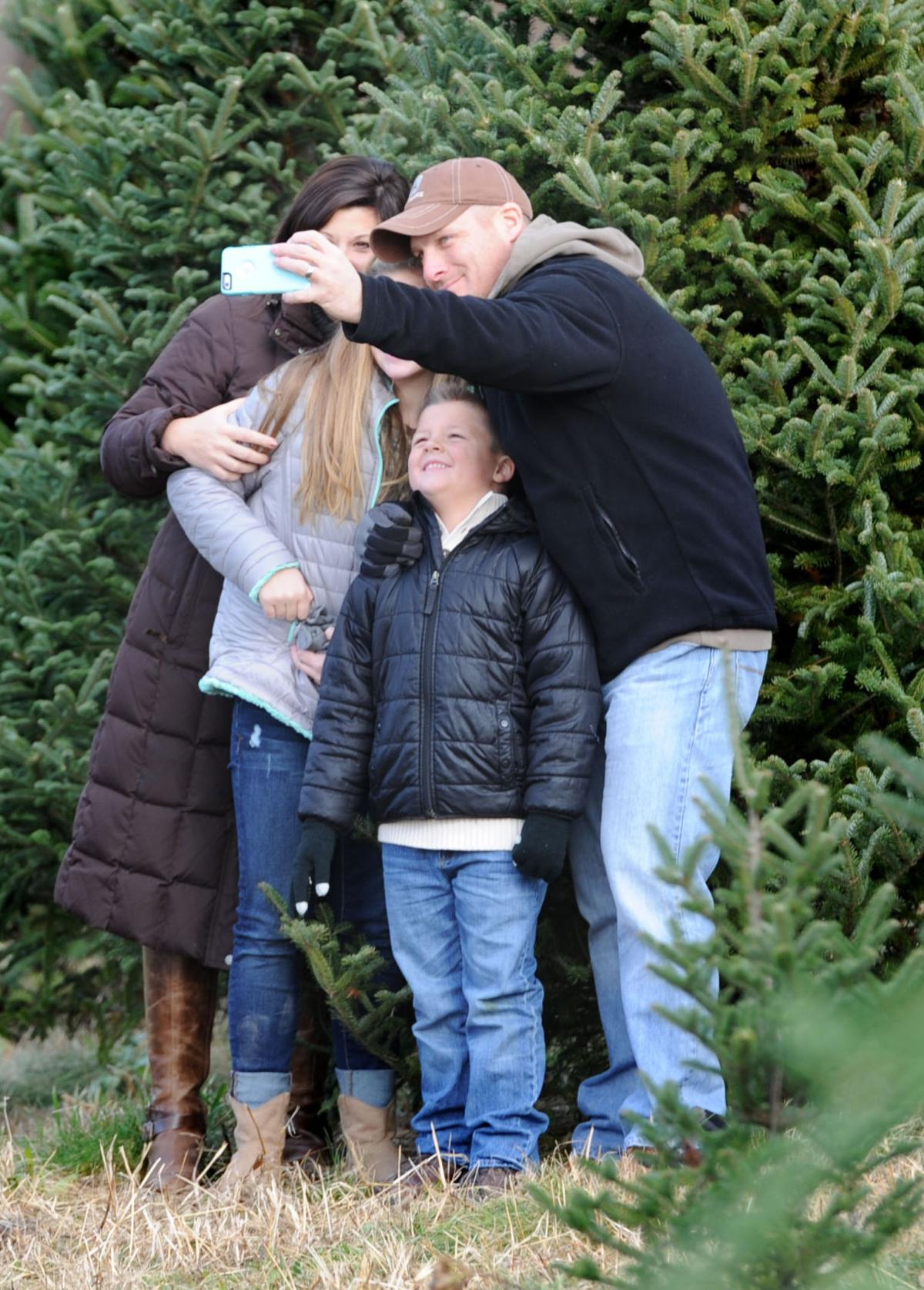 Where to cut your own Christmas tree in Lancaster County Local News