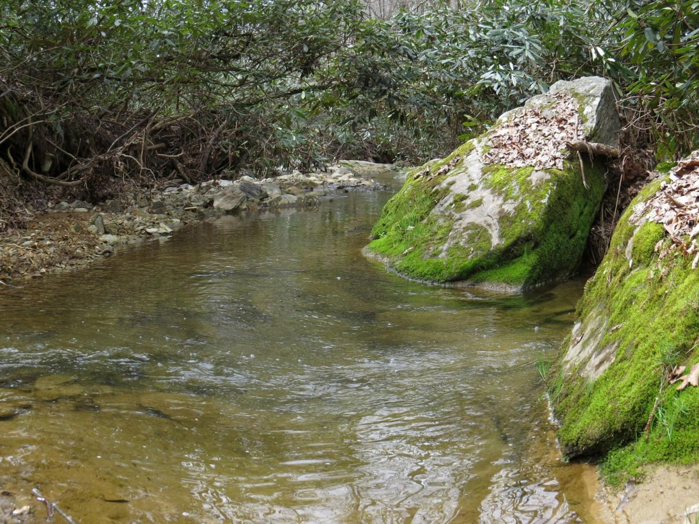 Surprise 12 new streams with wild trout discovered in Lancaster County