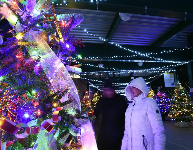 Christmas at the Clip Tree Lane and Spirit Light Show returns to