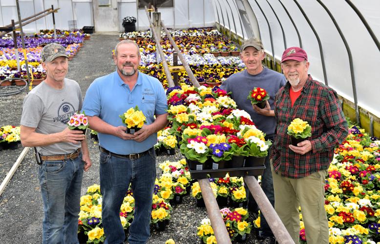 Miller's Greenhouse [photo gallery]