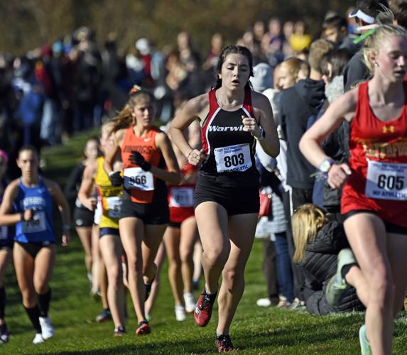 3 LL League runners earn state medals at PIAA cross country