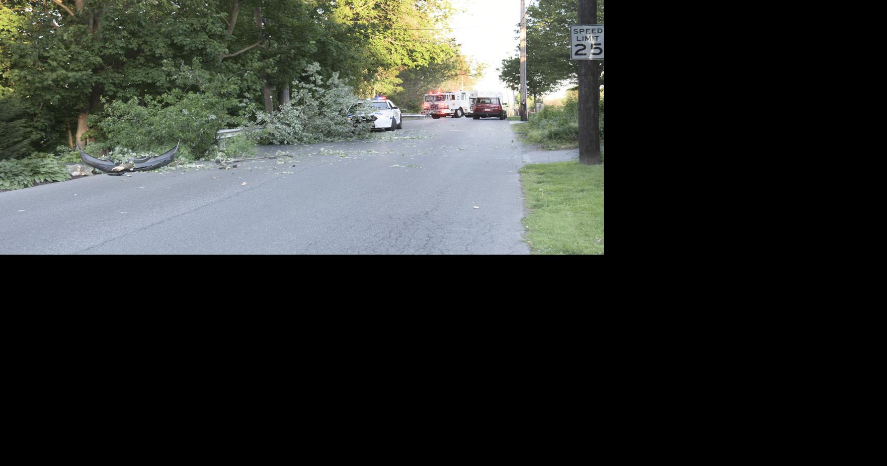 Large tree limb falls on 2 moving vehicles in Lancaster Twp.; no ...