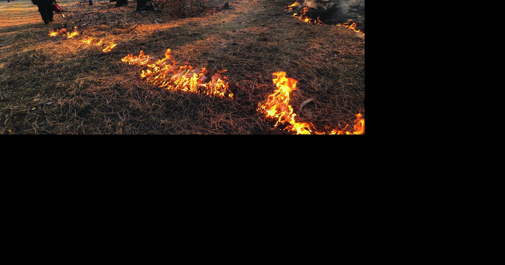 Fire Restrictions in Santa Fe and Lincoln National Forests