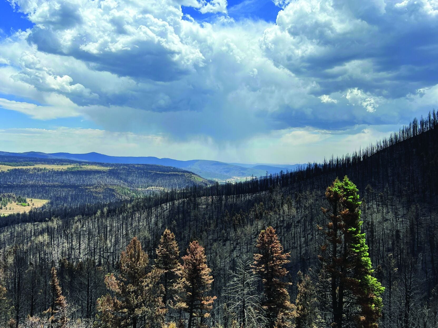 New Mexico sues feds over refusing to reimburse state for $61M in wildfire costs