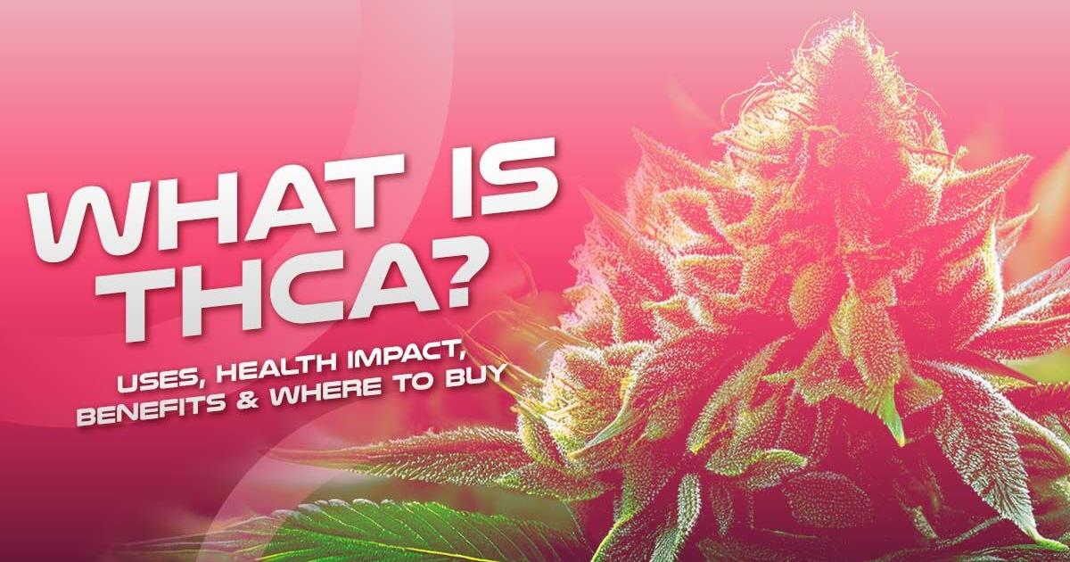 vape.hk/benefits-of-the-thca-flower-and-how-to-buy-the-right-one-for-you/ THCA Flower vs. THCA Edibles — What's the Difference? They both start with  THCA… but how they hit is totally different. THCA Flower: • Needs heat to  work • You gotta smoke,