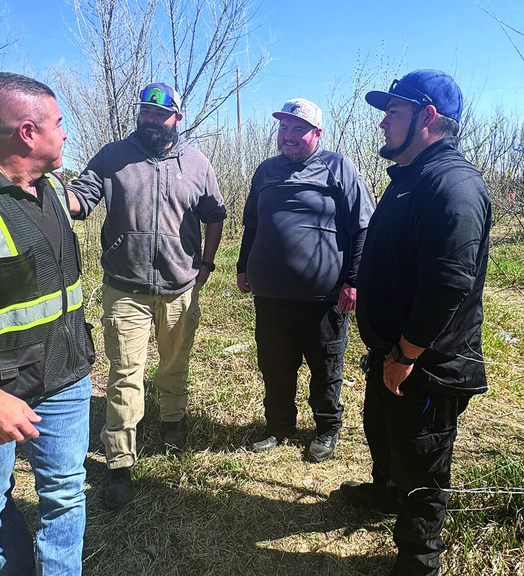 Las Vegas Code Enforcement team works to keep city clean, safe and ...