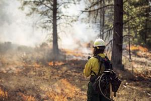 House, Senate pass $2.5 billion for wildfire victims; Bill awaits presidential signature
