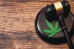 Cannabis Gavel